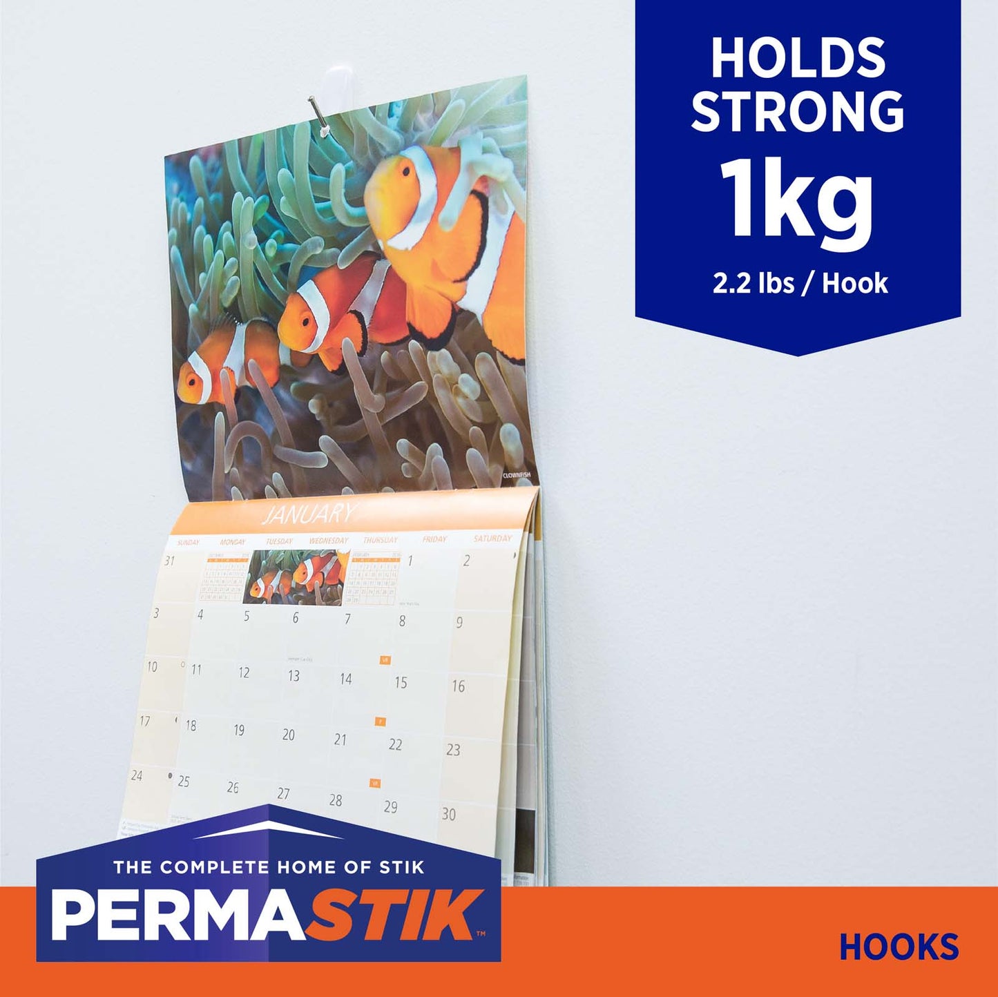 Small Cosmo Wire Hooks - 6 Pack