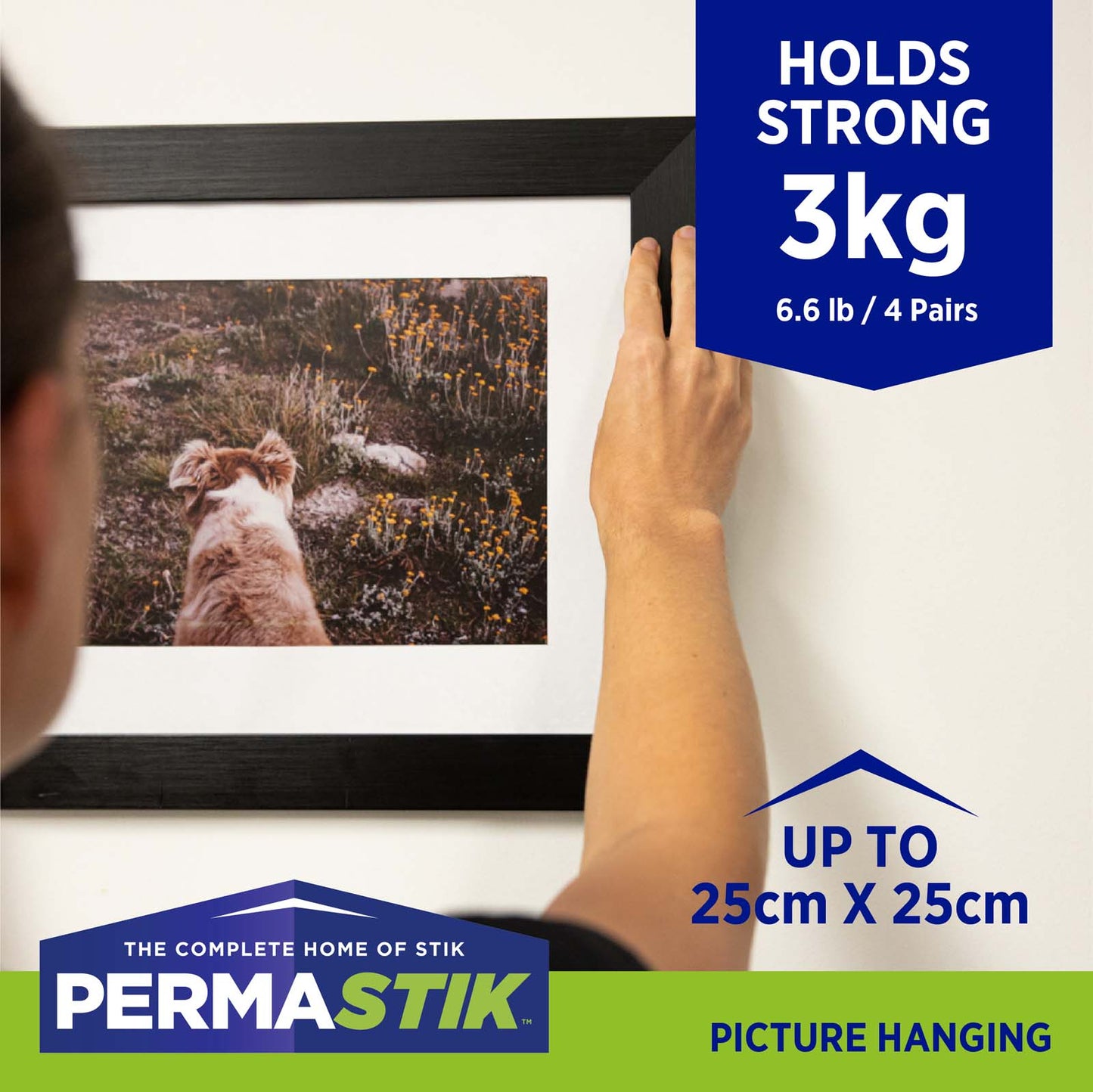 Medium Picture Strips - 30 Pairs