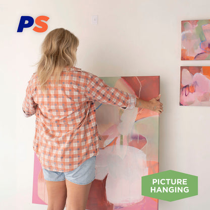 Extra Large Picture Hooks - 3 Pack